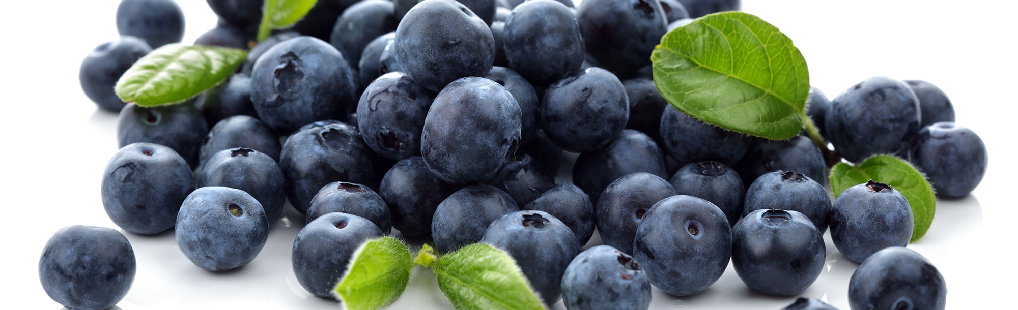 Blueberries Extract