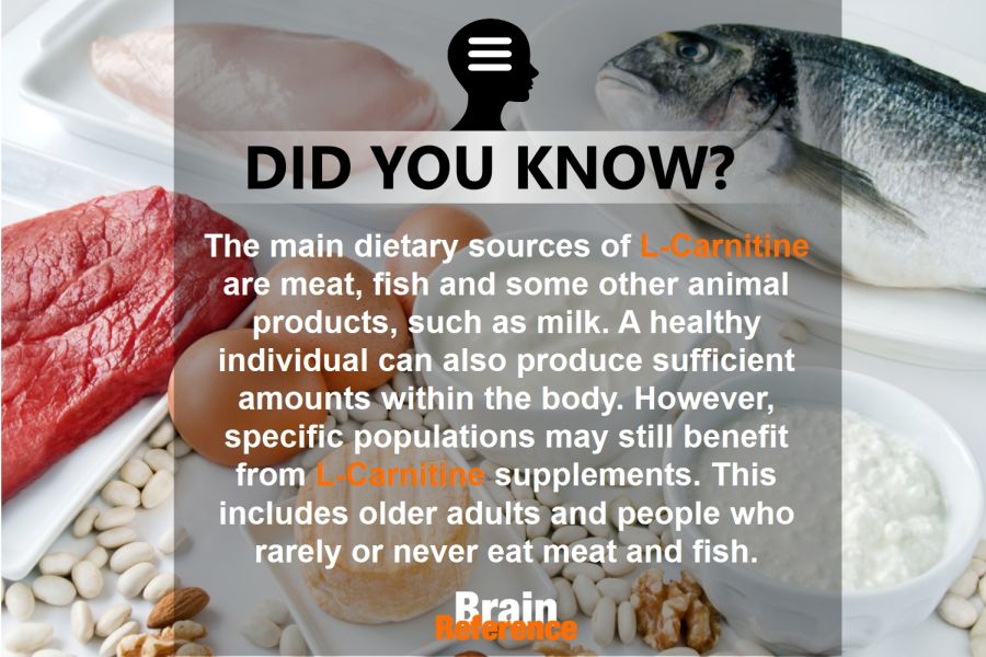 Juvenon-Dr-Bruce-Ames-Acetyl-L-Carnitine-ALCAR-Facts